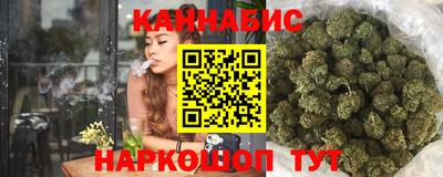 индика Донецк