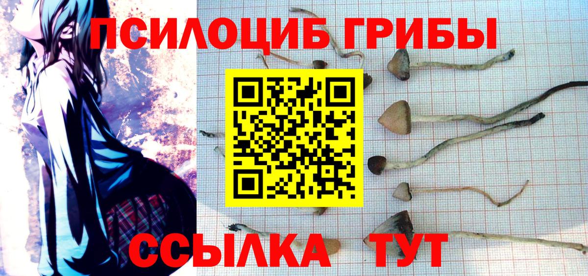 Псилоцибиновые грибы GOLDEN TEACHER  Вход с VPN  Муром 